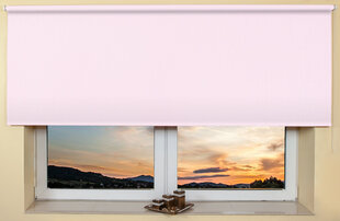 Sieninis / lubų roletas 220x170 cm, 101 Rožinė kaina ir informacija | Roletai | pigu.lt