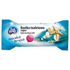 Clean Therapy WC muiliukas, jūros kvapo, 40 g kaina ir informacija | Valikliai | pigu.lt