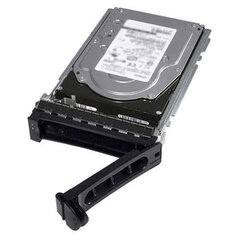 HDD внутренний жесткий диск Dell 400-AUPW цена и информация | Внутренние жёсткие диски (HDD, SSD, Hybrid) | pigu.lt