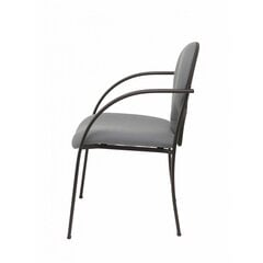 2-jų kėdžių komplektas Hellin Piqueras y Crespo, pilkas kaina ir informacija | Biuro kėdės | pigu.lt