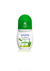 Rutulinis dezodorantas su alaviju ekstraktu I Provenzali Aloe Vera, 50 ml kaina ir informacija | Dezodorantai | pigu.lt