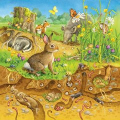 Dėlionė Ravensburger Animals in their Habitats, 3x49 d. kaina ir informacija | Dėlionės (puzzle) | pigu.lt