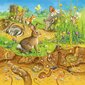 Dėlionė Ravensburger Animals in their Habitats, 3x49 d. kaina ir informacija | Dėlionės (puzzle) | pigu.lt