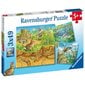 Dėlionė Ravensburger Animals in their Habitats, 3x49 d. kaina ir informacija | Dėlionės (puzzle) | pigu.lt