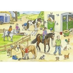Dėlionės Ravensburger Horses, 2x24 d. kaina ir informacija | Dėlionės (puzzle) | pigu.lt