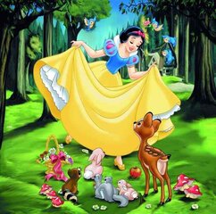 Dėlionė Ravensburger Disney Princesses, 3x49 d. kaina ir informacija | Dėlionės (puzzle) | pigu.lt