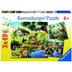 Пазл Ravensburger 3х49 шт Животные цена и информация | Пазлы | pigu.lt