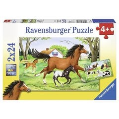 Dėlionės Ravensburger World of Horses, 2x24 d. kaina ir informacija | Dėlionės (puzzle) | pigu.lt