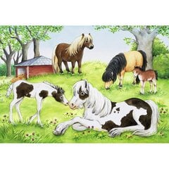 Dėlionės Ravensburger World of Horses, 2x24 d. kaina ir informacija | Dėlionės (puzzle) | pigu.lt