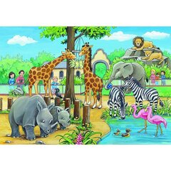 Dėlionės Ravensburger Zoo, 2x24 d. kaina ir informacija | Dėlionės (puzzle) | pigu.lt