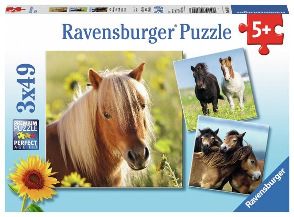 Ravensburger dėlionė Žirgai, 3 x 49 vnt. цена и информация | Dėlionės (puzzle) | pigu.lt