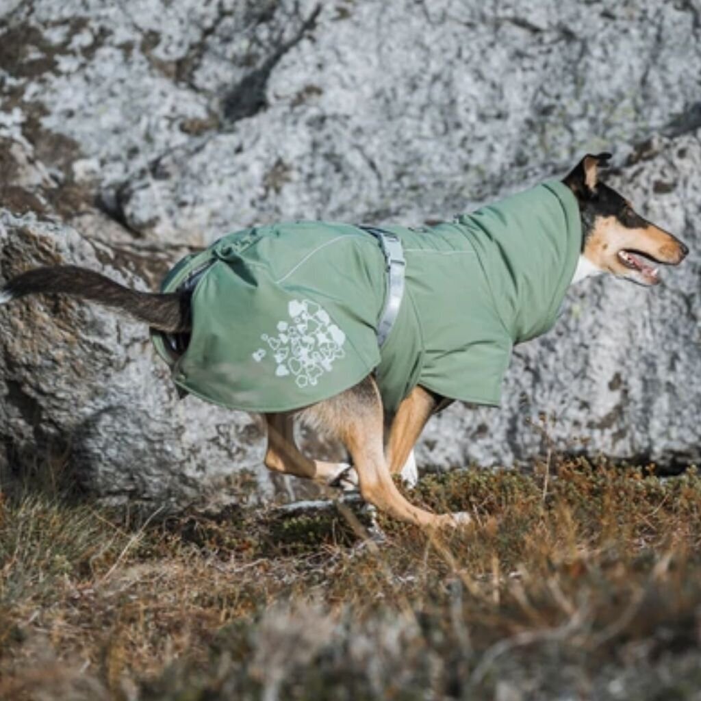 Šilta striukė šunims Hurtta Extreme Warmer, žalia, įvairių dydžių kaina ir informacija | Drabužiai šunims | pigu.lt