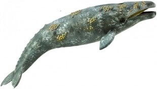 Фигурка Collecta Серый кит цена и информация | Игрушки для девочек | pigu.lt