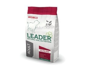 Leader Slimline vidutinių veislių šunims, 12 kg kaina ir informacija | Leader Sportas, laisvalaikis, turizmas | pigu.lt