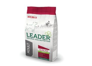 Leader Slimline mažų veislių šunims su kalakutiena, 2 kg kaina ir informacija | Leader Sportas, laisvalaikis, turizmas | pigu.lt