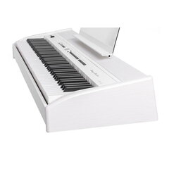 Skaitmeninis pianinas Orla SP 230 / WH kaina ir informacija | Klavišiniai muzikos instrumentai | pigu.lt