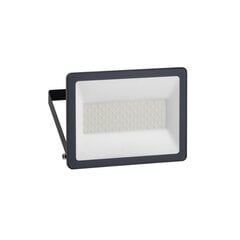 LED prožektorius MUREVA 50W цена и информация | Уличные светильники | pigu.lt