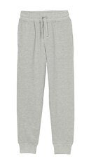 Texpak спортивные штаны для мальчиков, серый  907168131 цена и информация | Штаны для мальчиков | pigu.lt