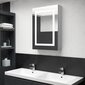 Veidrodinė vonios spintelė su LED, 50x13x70cm, betono pilka цена и информация | Vonios spintelės | pigu.lt