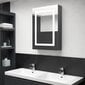 Veidrodinė vonios spintelė su LED, 50x13x70cm, pilka, blizgi kaina ir informacija | Vonios spintelės | pigu.lt