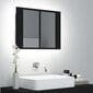 Veidrodinė vonios spintelė su LED apšvietimu, 60x12x45cm, juoda kaina ir informacija | Vonios spintelės | pigu.lt