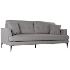 Sofa DKD Home Decor, pilka kaina ir informacija | Sofos | pigu.lt