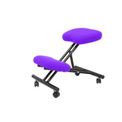 Ergonomiška kėdė Mahora Piqueras y Crespo 7BALI82, violetinė kaina ir informacija | Biuro kėdės | pigu.lt