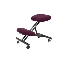 Ergonomiška kėdė Mahora Piqueras y Crespo BALI760, violetinė kaina ir informacija | Biuro kėdės | pigu.lt