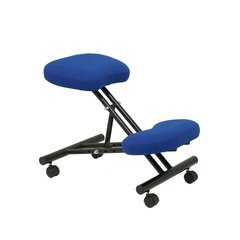 Ergonomiška kėdė Mahora Piqueras y Crespo BALI229, mėlyna kaina ir informacija | Biuro kėdės | pigu.lt