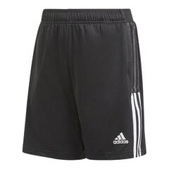 Adidas Шорты Tiro21 Tr Short Black GN2161 цена и информация | Шорты для мальчиков Gulliver, серые милитари | pigu.lt