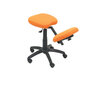 Ergonomiška kėdė Lietor Piqueras y Crespo BALI308, oranžinė kaina ir informacija | Biuro kėdės | pigu.lt