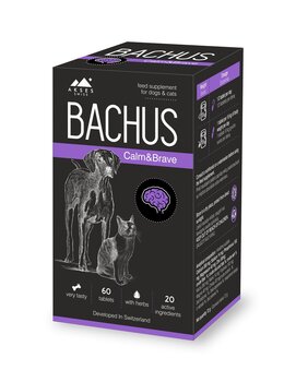 Кормовая добавка Bachus Calm&Brave, 60 табл. цена и информация | Витамины, добавки, средства от паразитов для собак | pigu.lt