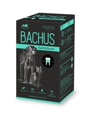 Pašaro papildas Bachus Teeth&Gums, 60 tabl. kaina ir informacija | Vitaminai, papildai, antiparazitinės priemonės šunims | pigu.lt