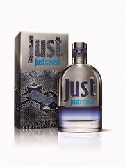 Мужская парфюмерия Just Cavalli Roberto Cavalli EDT: Емкость - 50 ml цена и информация | Мужские духи | pigu.lt