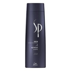 Gaivinamasis plaukų šampūnas Wella Professional SP Men Refresh vyrams, 250 ml kaina ir informacija | Šampūnai | pigu.lt