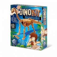 Набор археолога "Раскопай динозавра" / Брахиозавр цена и информация | Развивающие игрушки | pigu.lt