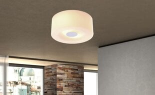 Потолочный светильник G.LUX GZ-035/2 со стеклянным абажуром цена и информация | Потолочные светильники | pigu.lt