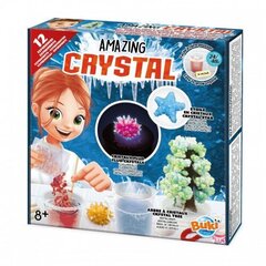 Eksperimentų rinkinys „Užsiaugink savo nuostabius kristalus“ kaina ir informacija | Lavinamieji žaislai | pigu.lt