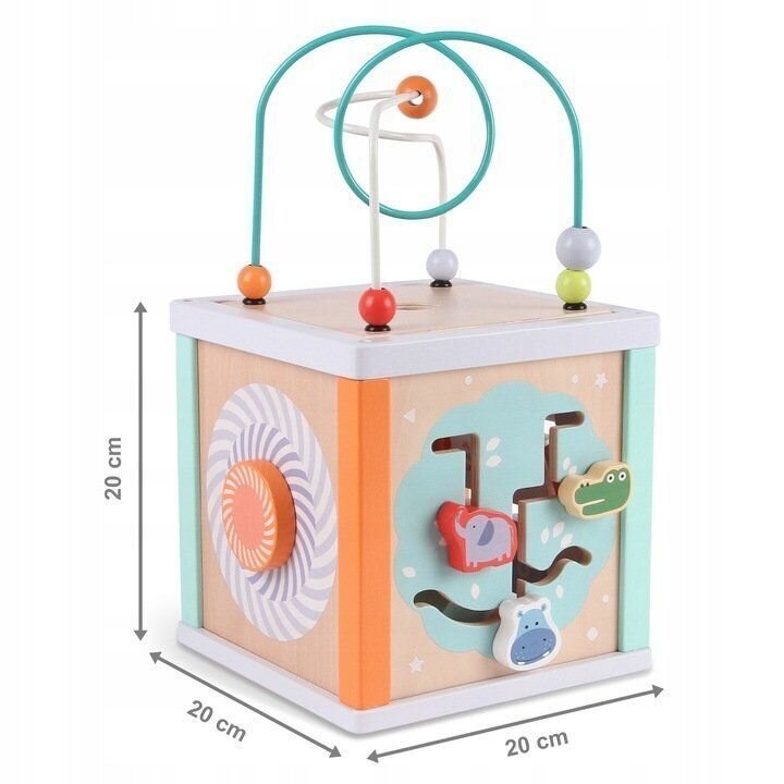 Lavinamasis centras Ecotoys 5 in 1 kaina ir informacija | Lavinamieji žaislai | pigu.lt