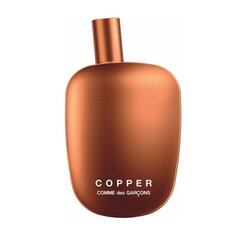 Парфюмированная вода Comme des Garcons Copper EDP, 100 мл цена и информация | Женские духи | pigu.lt