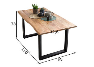Valgomojo stalas Tische 160, rudas kaina ir informacija | Virtuvės ir valgomojo stalai, staliukai | pigu.lt