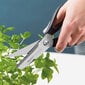 Berghoff virtuvinės žirklės Essentials 22 cm цена и информация | Virtuvės įrankiai | pigu.lt