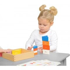 Masterkidz medinis žaidimas, spalvingos kaladėlės, trikampiai kaina ir informacija | Lavinamieji žaislai | pigu.lt