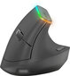 Speedlink Fin Ergonomic SL-630025-BK kaina ir informacija | Pelės | pigu.lt