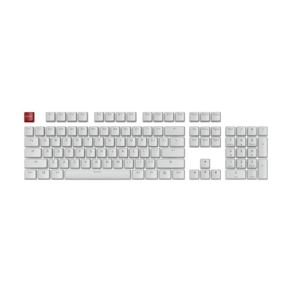 Glorious PC Gaming Race Aura Keycaps kaina ir informacija | Klaviatūros | pigu.lt