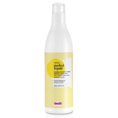 Maitinantis šampūnas Glossco Perfect Repair, 1 l цена и информация | Шампуни | pigu.lt