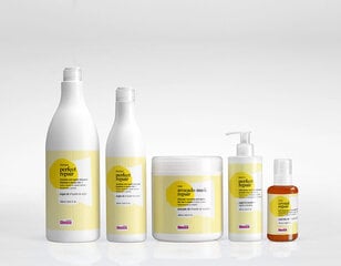 Maitinantis šampūnas Glossco Perfect Repair, 1 l цена и информация | Шампуни | pigu.lt