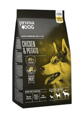 PrimaDog Adult Chicken Potato безглютеновый сухой корм для взрослых собак с курицей, 2 кг цена и информация |  Сухой корм для собак | pigu.lt