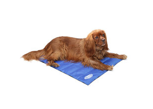 Охлаждающий коврик для животных Scruffs, 77x62 см цена и информация | Лежаки, домики | pigu.lt