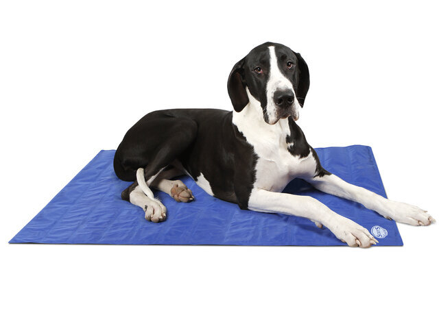 Vėsinantis kilimėlis šunims Scruffs XL, 120 x 75 cm, mėlynas цена и информация | Guoliai, pagalvėlės | pigu.lt